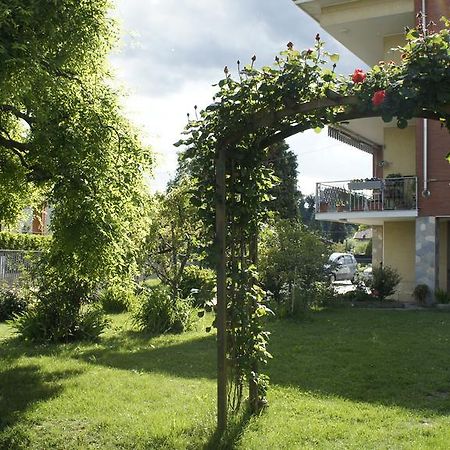Il Piccione Viaggiatore Banchette D'Ivrea Luaran gambar